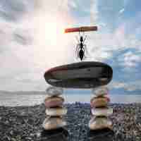 seo1短​视​频‍章​节﻿